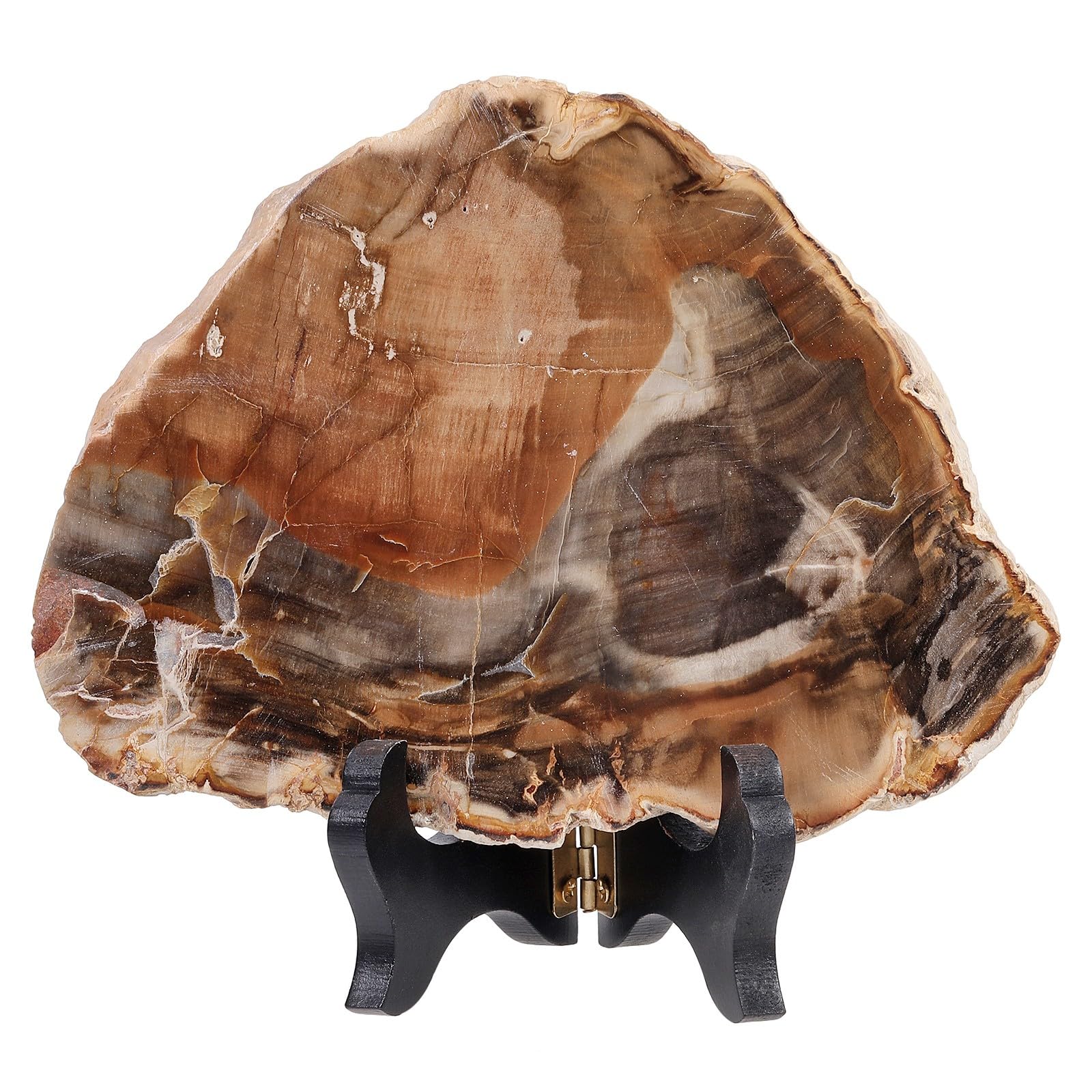 TUMBEELLUWA Irregular Rainbow Fluorite Slab Crystal Stone Collection for Desk Table Decor, Natural Crystal Mineral Specimen with Wooden Display Stand